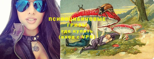 ALPHA PVP Богородицк