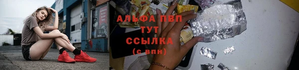 ГАЛЛЮЦИНОГЕННЫЕ ГРИБЫ Богородск