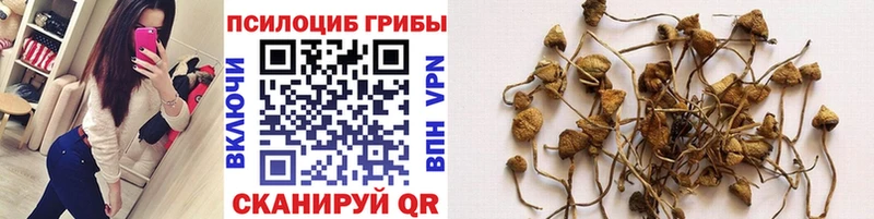 Галлюциногенные грибы Magic Shrooms Купить где Гатчина