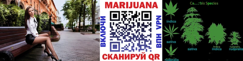 Каннабис ГИДРОПОН  Купить где  Гатчина 